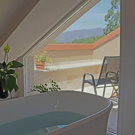 Calamar Xigante Carnota