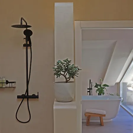 Calamar Xigante